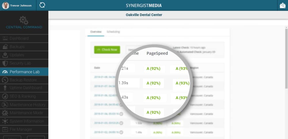 Synergist Media Website Management Performance Dashboard